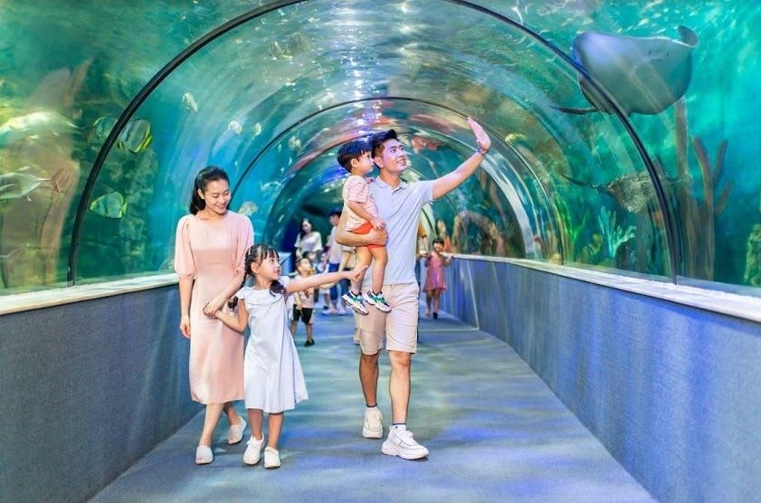 Vinpearl Aquarium Times City - một điểm đến giải trí hiện đại gần Chợ Đồng Xuân