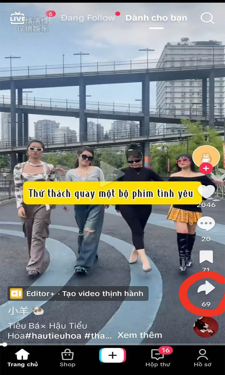 Nhấn vào biểu tượng Chia sẻ trên video TikTok