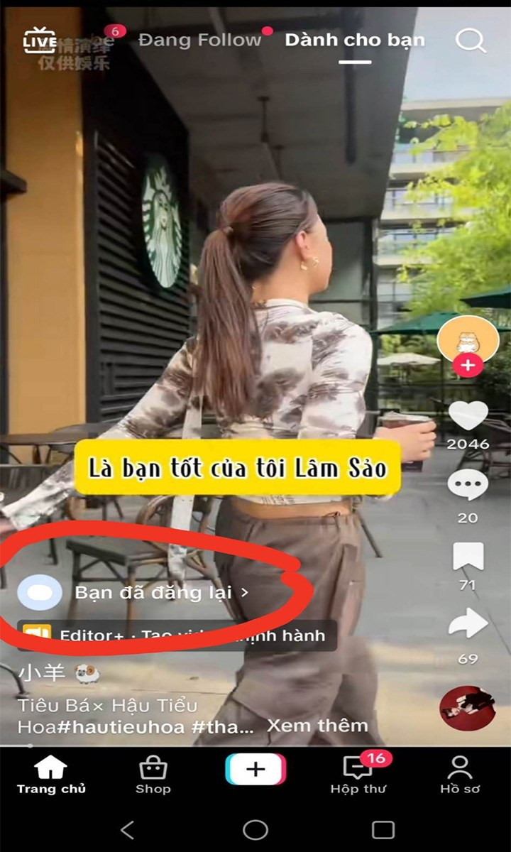 Thông báo Đăng lại thành công trên TikTok