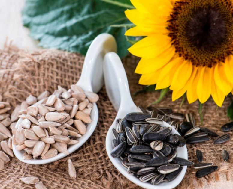 Hướng dương và hạt bí - món ăn vặt yêu thích tại quán cafe