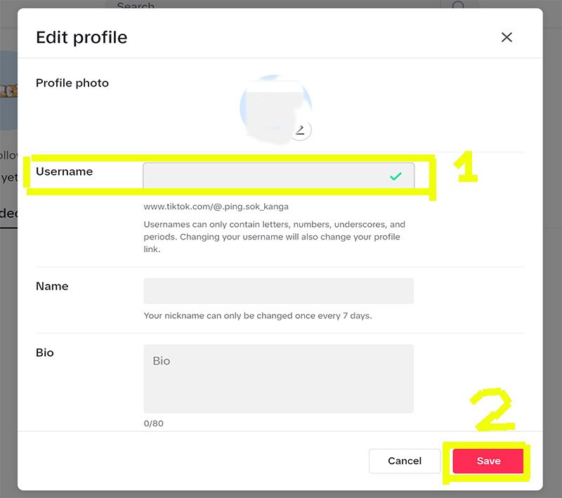 Cửa sổ chỉnh sửa TikTok ID trên máy tính