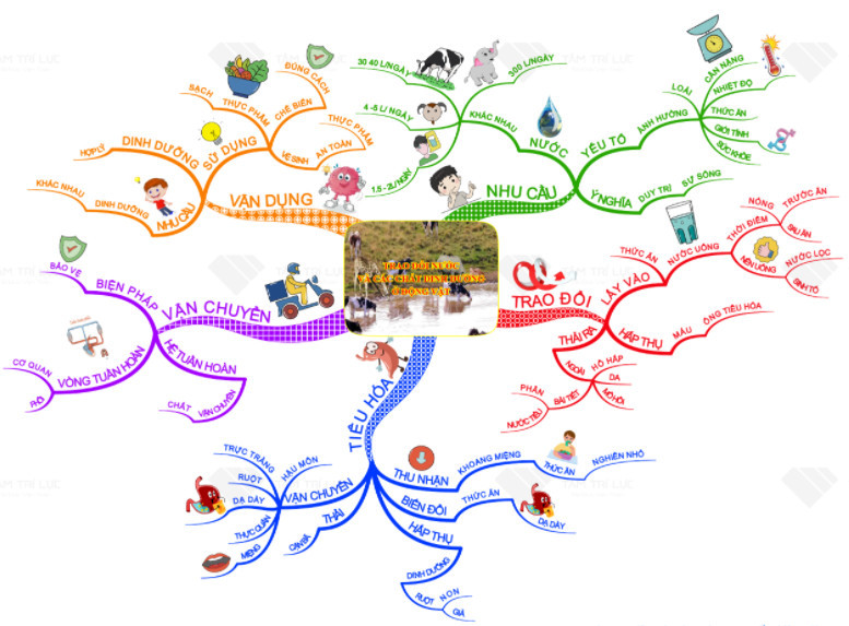Sơ đồ tư duy hình ảnh kết hợp biểu tượng