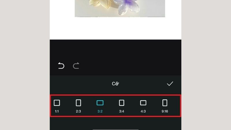 Màn hình chỉnh sửa kích thước ảnh