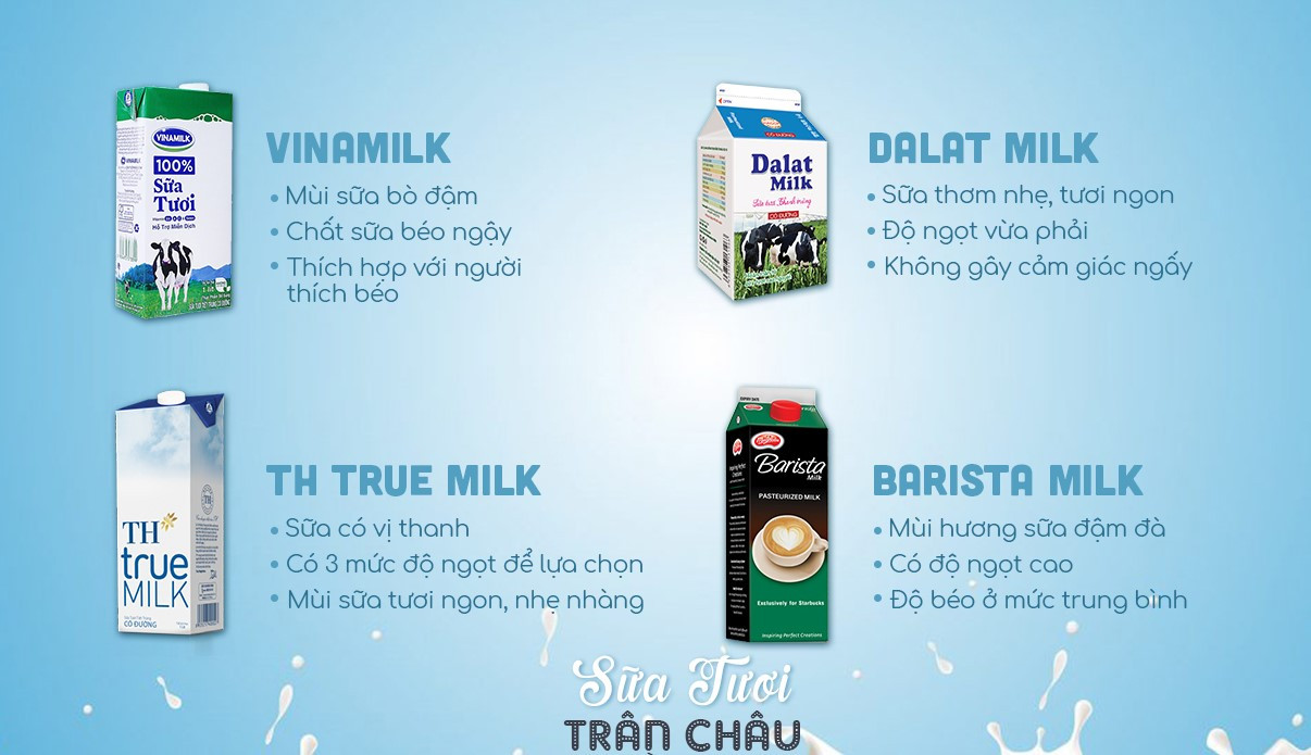 Các loại sữa khác nhau dùng trong pha chế trà sữa, từ sữa tươi đến sữa đặc