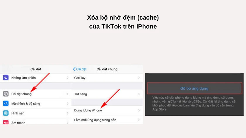 Cách khắc phục lỗi TikTok trên iPhone / iPad