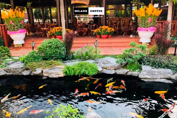 Mô hình cà phê sân vườn nhỏ có hồ cá Koi đẹp mắt