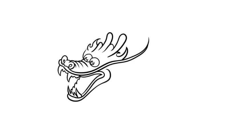 Phác họa cơ bản khuôn mặt rồng châu Á bằng bút chì