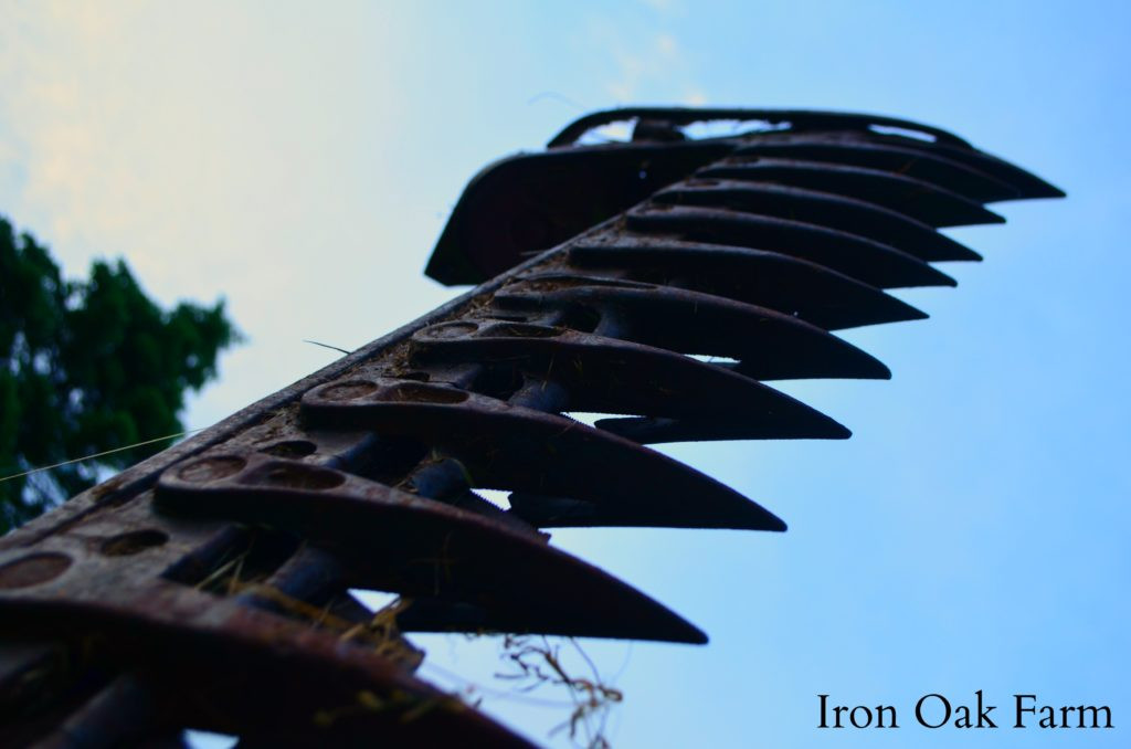 Máy cắt cỏ lưỡi liềm đang hoạt động trên cánh đồng