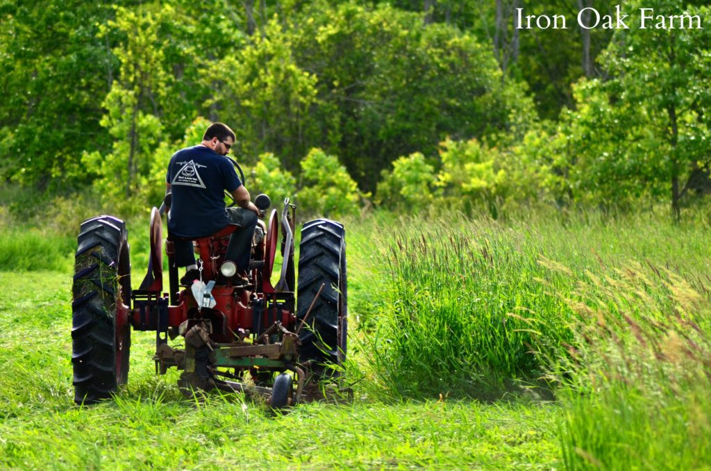 Máy kéo Farmall H đang kéo thiết bị làm cỏ khô
