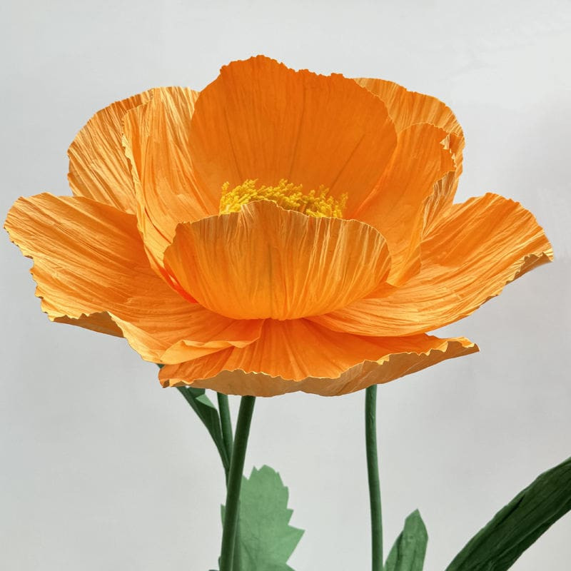 Các cuộn giấy nhún nhiều màu sắc cùng với các dụng cụ như kéo, kẽm cành, súng bắn keo được sắp xếp gọn gàng trên bàn, cho thấy quy trình làm khóm hoa khổng lồ bằng giấy nhún XH57 cần nhiều nguyên liệu khác nhau