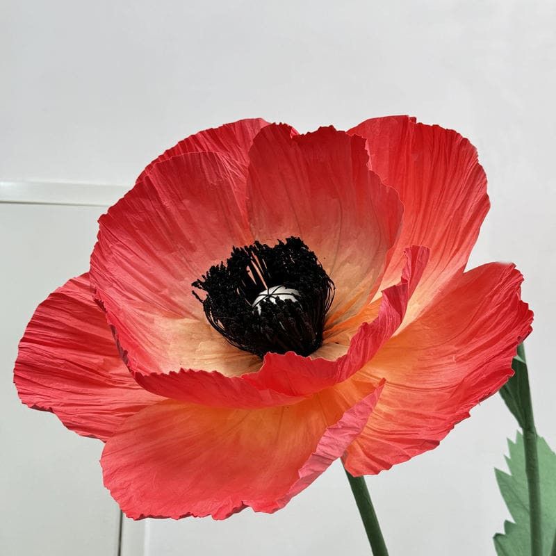 Những bông hoa giấy nhún nhiều màu sắc đã hoàn thiện, được bó lại thành một khóm hoa đa sắc nổi bật, thể hiện thành quả của quá trình tạo hình tỉ mỉ