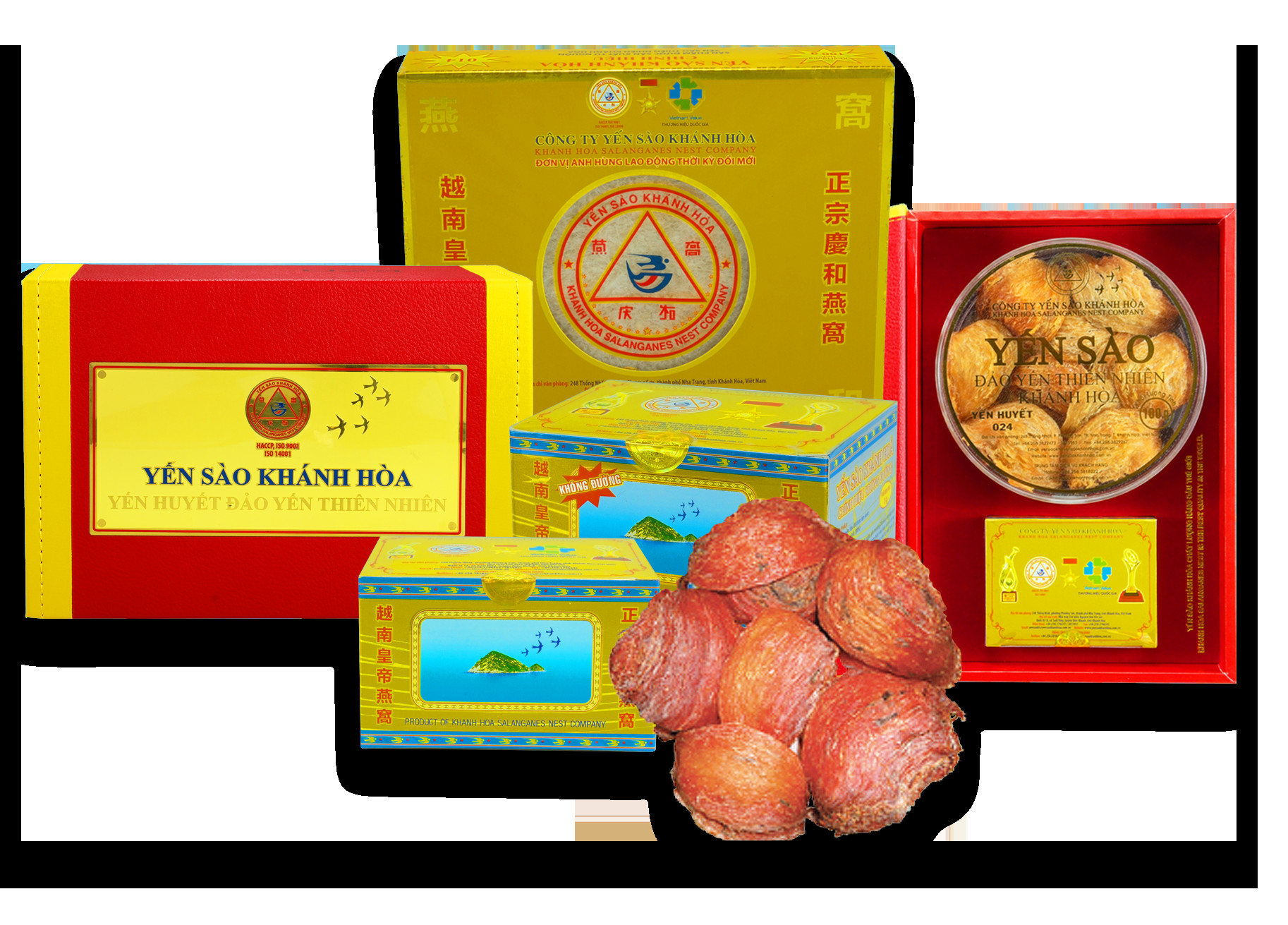 Hình ảnh một con chim yến đang đậu trên cành cây, tượng trưng cho nguồn gốc tự nhiên của yến sào