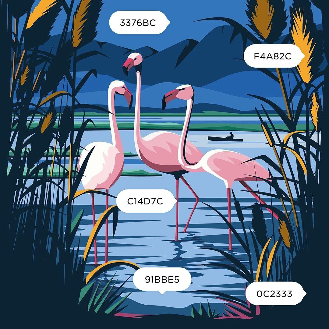 Bảng phối màu gồm các màu xanh lá cây chuối, vàng nghệ và hồng fuchsia