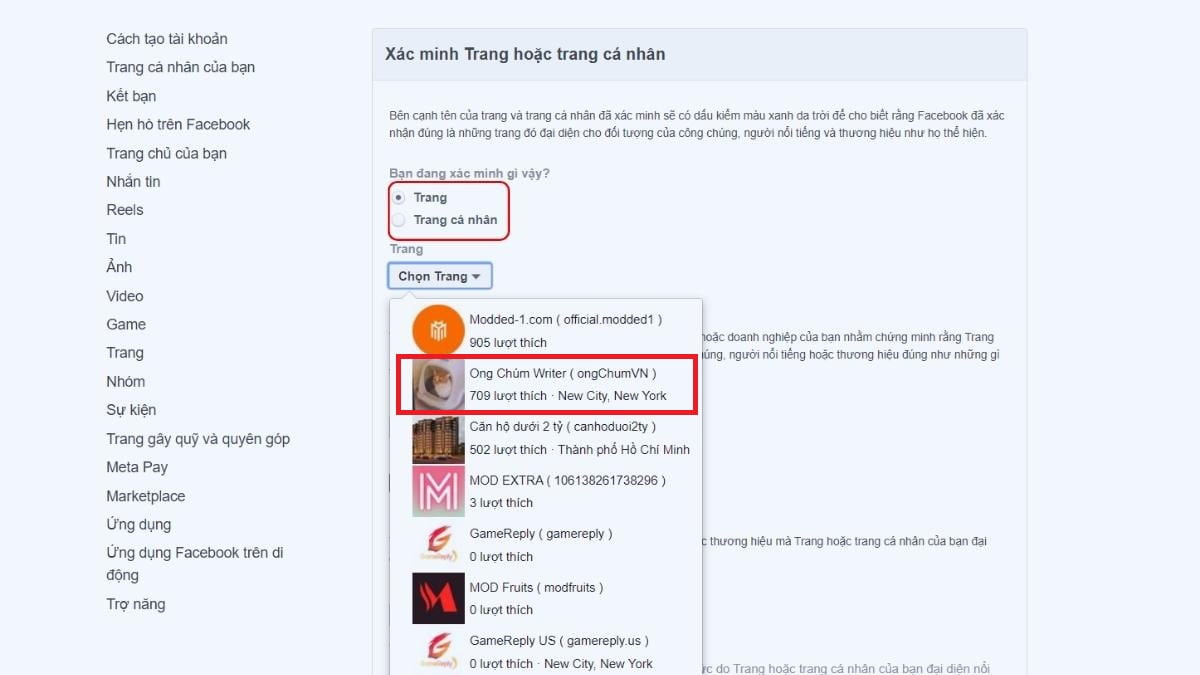 Bước 1 trong quy trình đăng ký tích xanh cho Fanpage, chọn loại xác minh