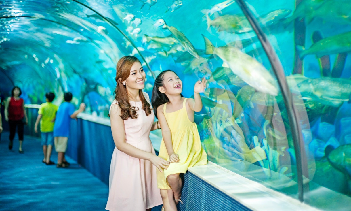 Thủy cung Vinpearl Aquarium với đa dạng sinh vật biển kỳ ảo qua mái vòm trong suốt