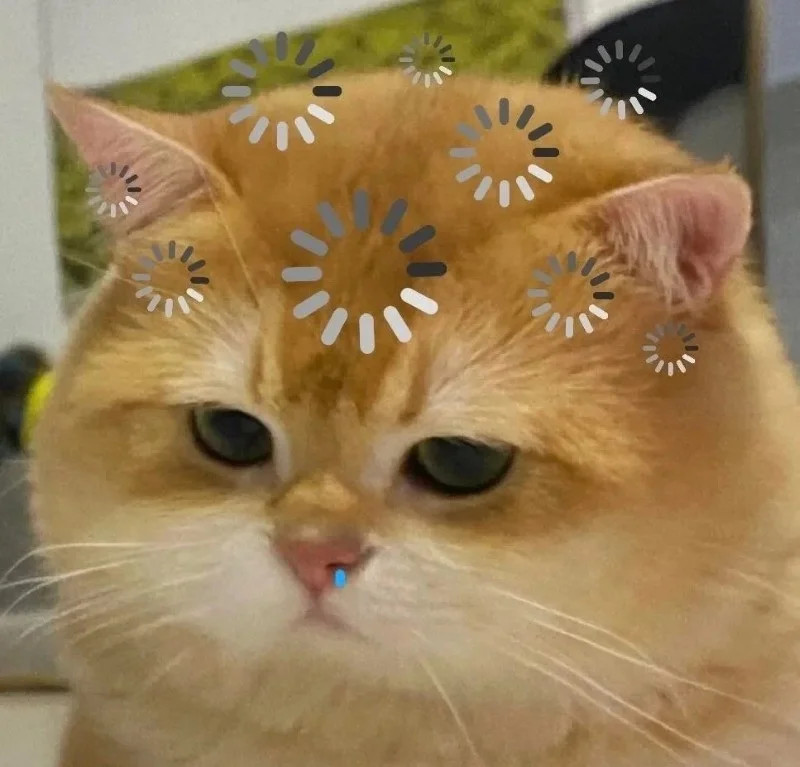 Avatar FB mặc định số 11