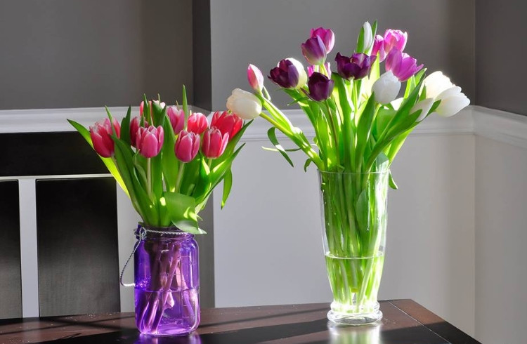 Sắc tulip rực rỡ khoe hương mang đến vẻ đẹp sang trọng cho không gian hoa ngày Tết