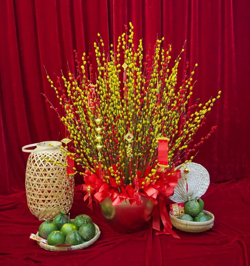 Nụ tầm xuân tươi tắn mang theo lời chúc cho sự phát triển và thịnh vượng