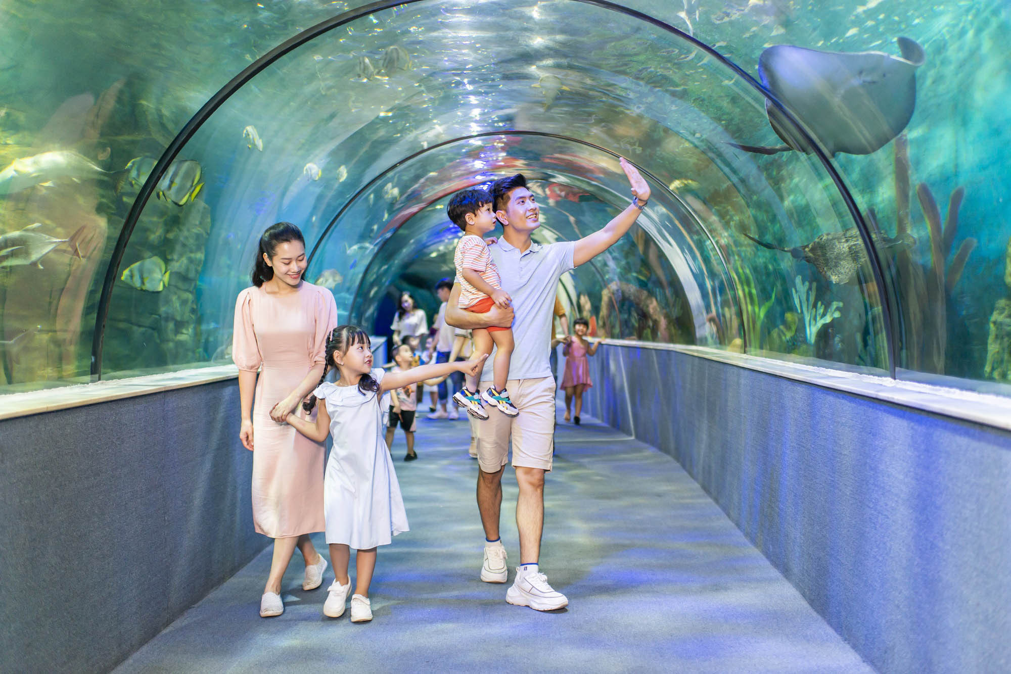 Khám phá thủy cung Vinpearl Aquarium với thế giới sinh vật biển đa dạng