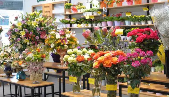 Kinh doanh hoa tươi, cách làm giàu nhanh nhất