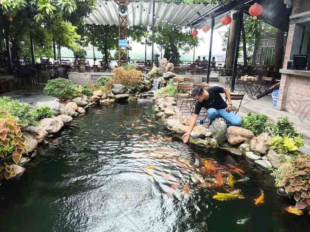 Mô hình quán cà phê vườn đẹp kết hợp hồ cá Koi được nhiều khách hàng ưa chuộng