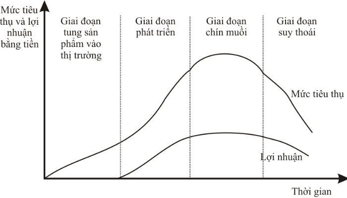 Sơ đồ minh họa các chiến lược Marketing phù hợp với từng giai đoạn