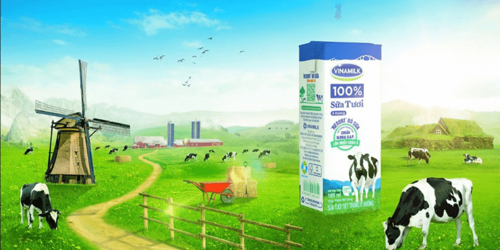 Biểu đồ chu kỳ sống của sản phẩm Vinamilk từ lúc ra mắt đến hiện tại