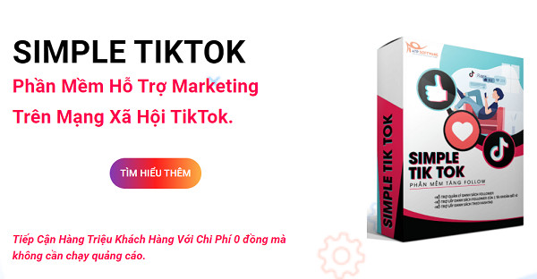 Hình ảnh giao diện của công cụ Simple TikTok