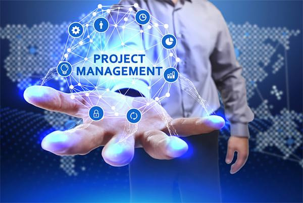 Quản lý dự án đa quy mô với phần mềm SAP