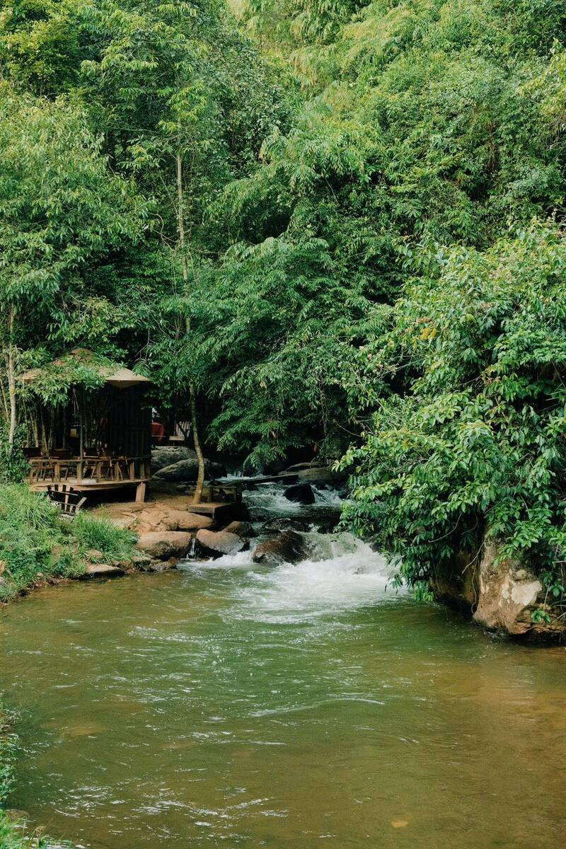 Du khách thư giãn giữa không gian xanh mát và tiếng suối chảy êm đềm tại quán cà phê