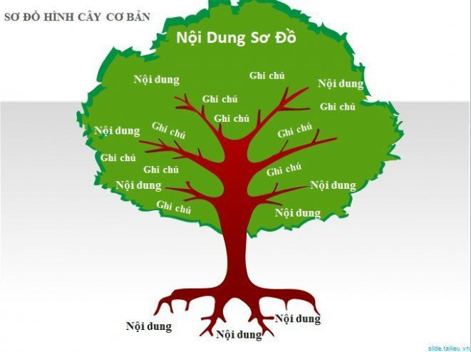 Hướng dẫn vẽ sơ đồ tư duy hình cây xanh chi tiết