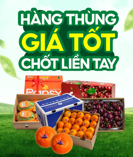 Các loại trái cây tươi ngon, bao gồm bưởi, sẵn sàng cho việc chế biến